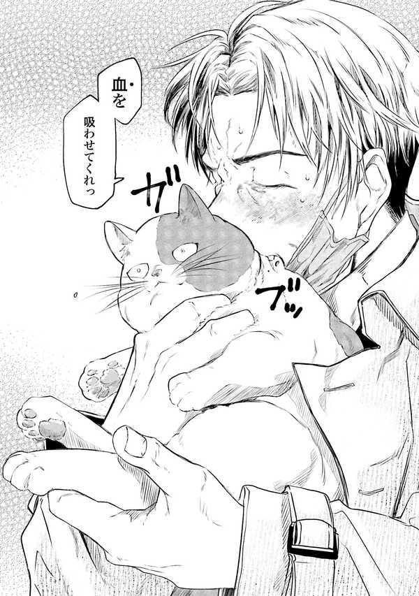 夜分に吸血失礼します。 Amazon.com: 夜分に吸血失礼します。 (4) (ゼノンコミックス