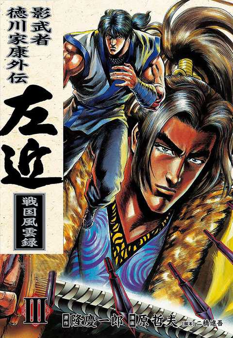 影武者徳川家康外伝 左近 戦国風雲録