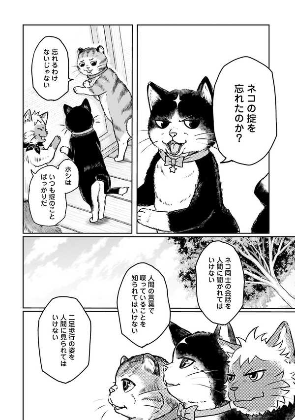 公式】登録不要で読める ネコの掟｜漫画出版社 コアミックス